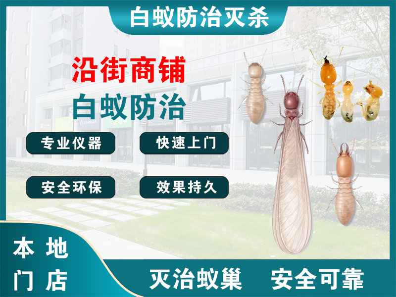 黄浦沿街商铺白蚁防治