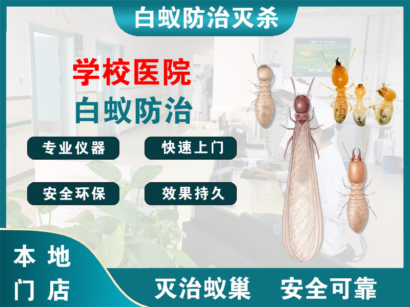 黄浦学校医院白蚁防治