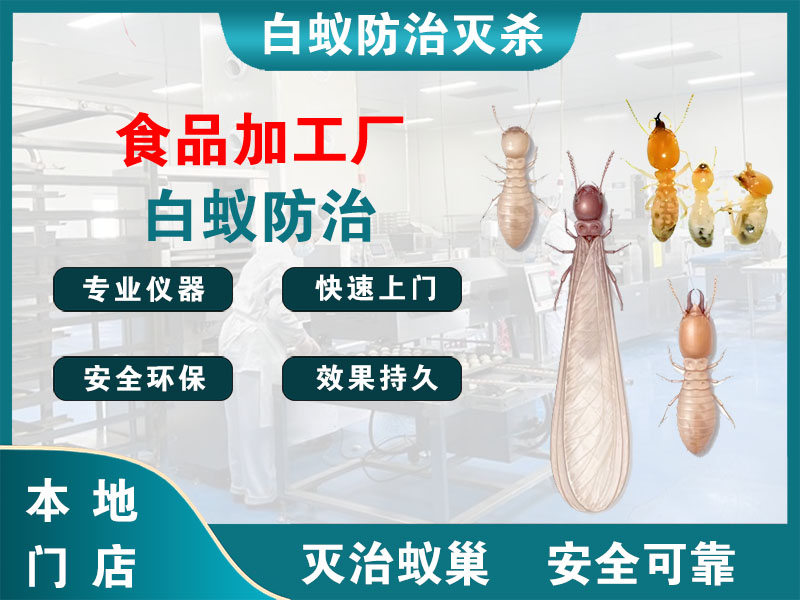 黄浦食品加工厂白蚁防治