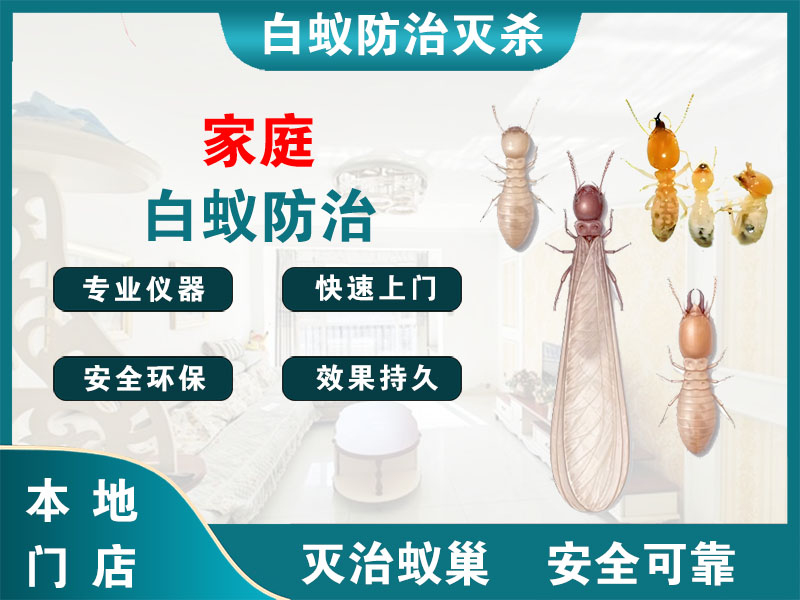 黄浦家庭白蚁防治