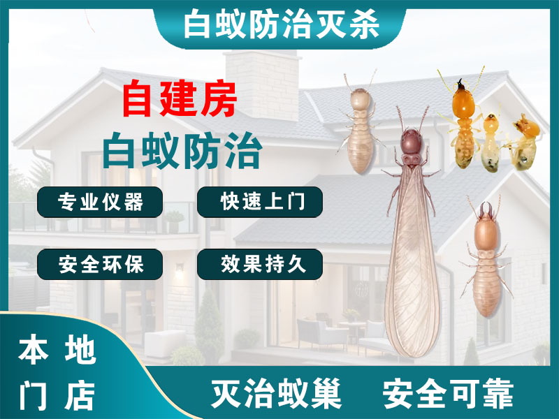 黄浦自建房白蚁防治