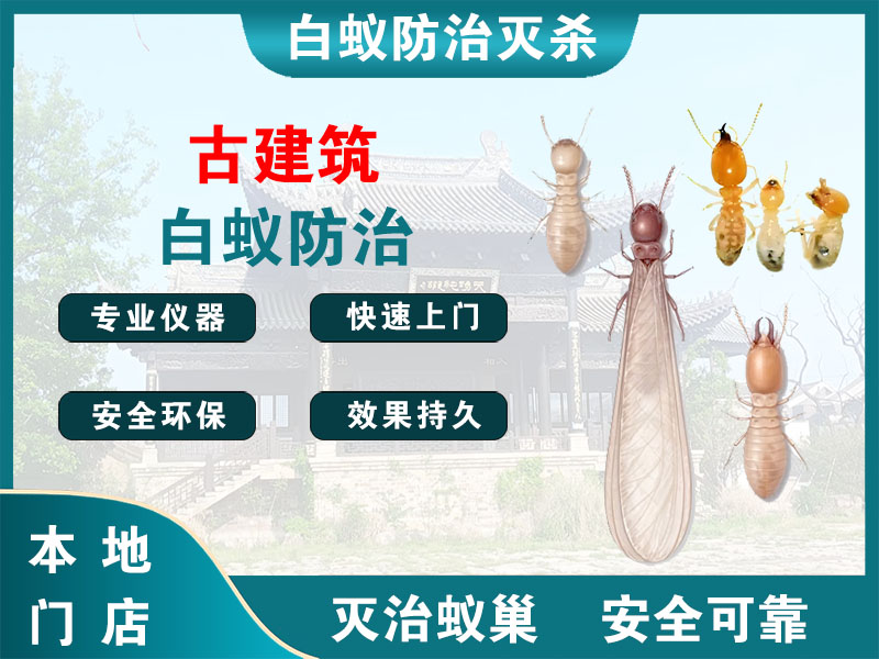 黄浦古建筑白蚁防治