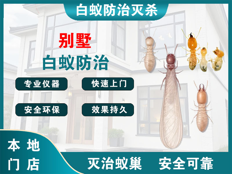 黄浦别墅白蚁防治