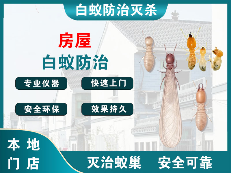黄浦房屋白蚁防治